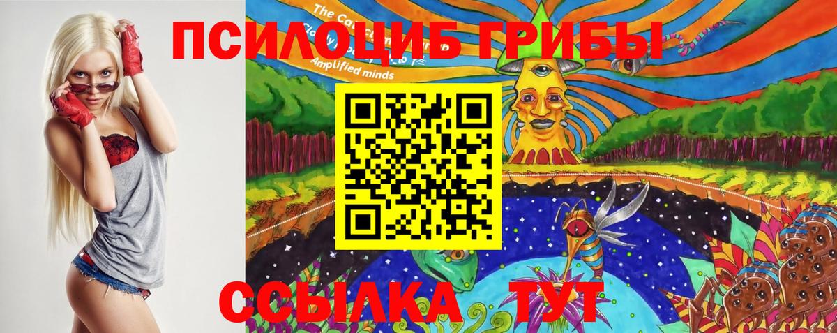 Псилоцибиновые грибы Psilocybine cubensis  Вход с VPN  Нягань  Псилоцибиновые грибы GOLDEN TEACHER 